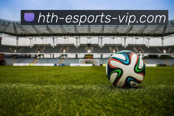 华体会电竞VIP发展历程